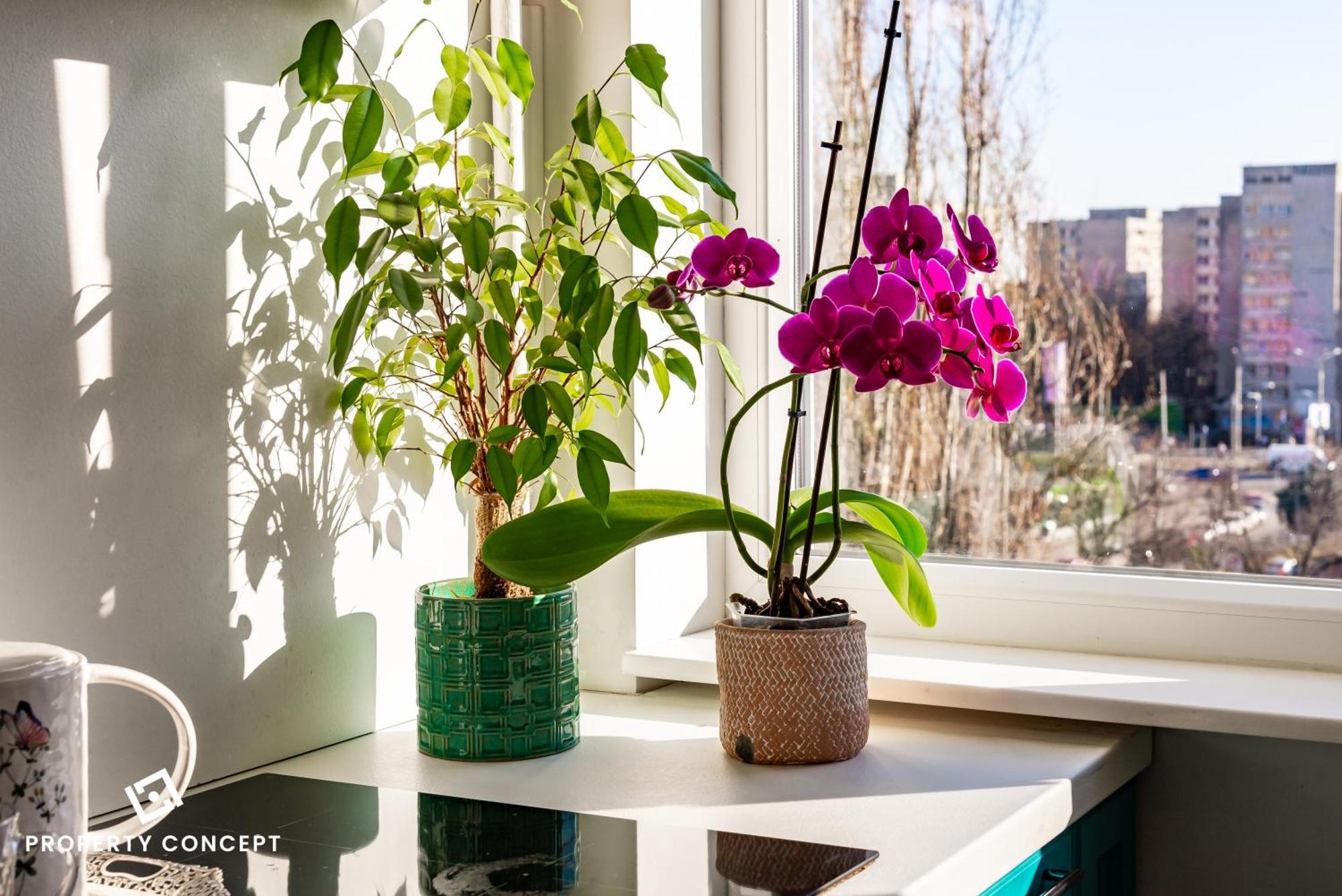 בוקרשט Blissful Retreat Apartment מראה חיצוני תמונה