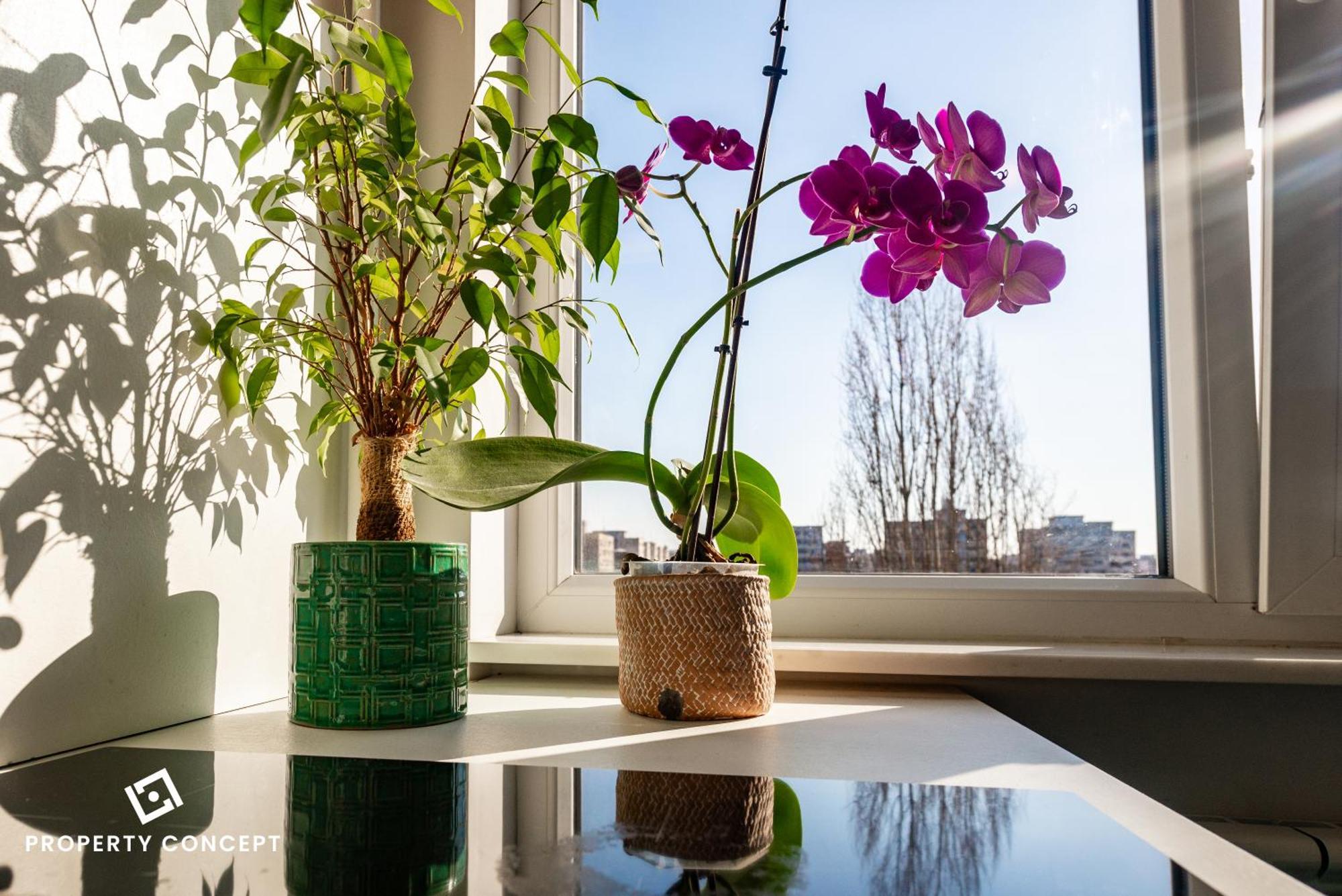 בוקרשט Blissful Retreat Apartment מראה חיצוני תמונה