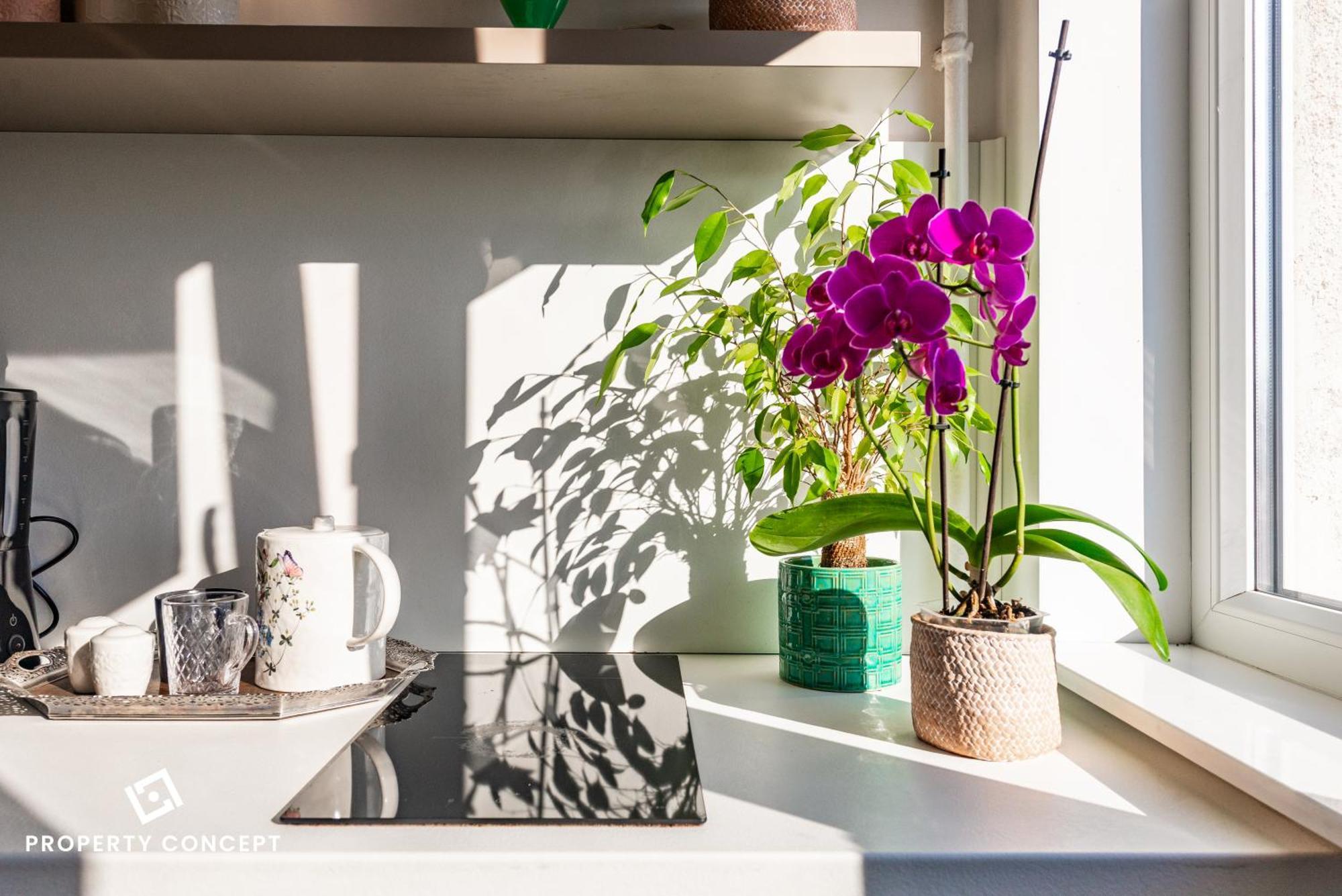 בוקרשט Blissful Retreat Apartment מראה חיצוני תמונה
